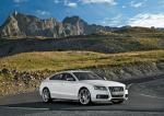 Audi S5 Sportback 2010 года (WW)